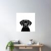 cpostermediumsquare product1000x1000.2 - Labrador Shop UK
