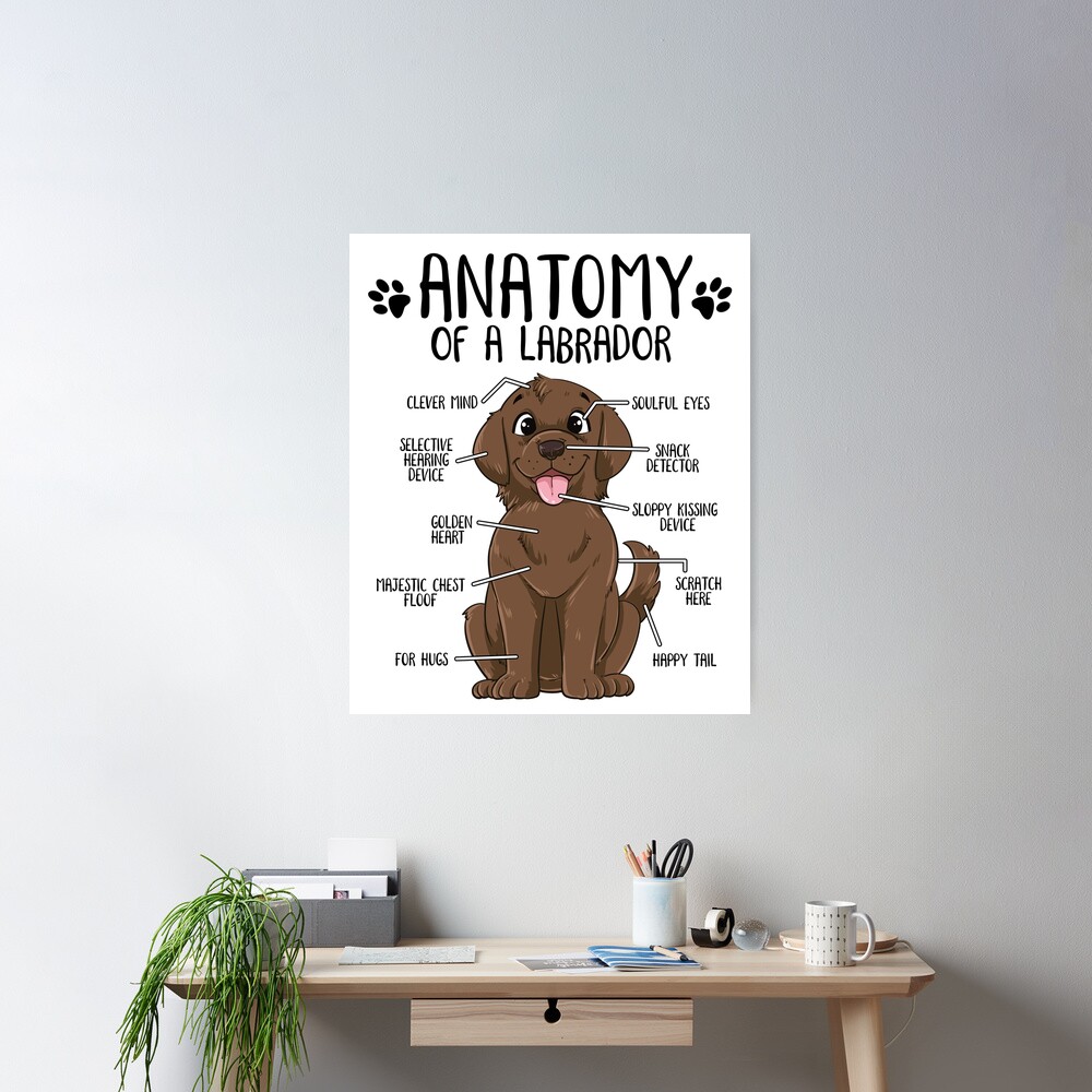 cpostermediumsquare_product1000x1000.2-6 cpostermediumsquare product1000x1000.2 6 - Labrador Shop UK