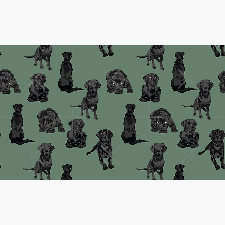 flat750x075f-pad750x750f8f8f8.u4-3 flat750x075f pad750x750f8f8f8.u4 3 - Labrador Shop UK