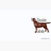 flat750x075f pad750x750f8f8f8.u4 4 - Labrador Shop UK