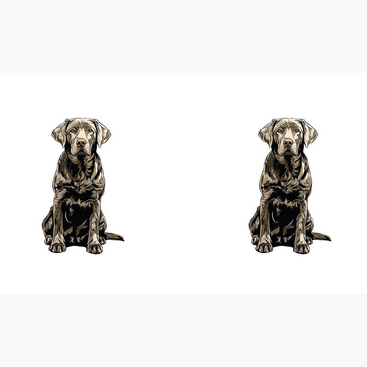 flat750x075f-pad750x750f8f8f8.u4-5 flat750x075f pad750x750f8f8f8.u4 5 - Labrador Shop UK