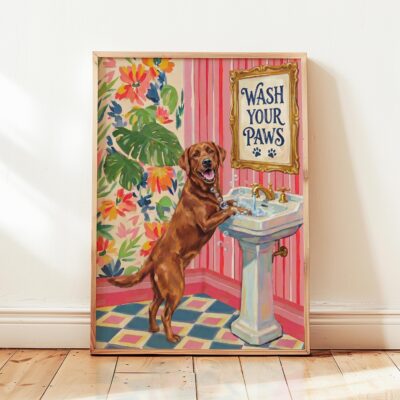 Labrador Red Bathroom Wash Room Colourful Wall