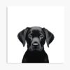 mp840x830mattef8f8f8t pad1000x1000f8f8f8 - Labrador Shop UK