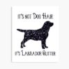 mp840x830mattef8f8f8t pad1000x1000f8f8f8 2 - Labrador Shop UK