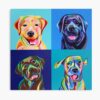 mp840x830mattef8f8f8t pad1000x1000f8f8f8 3 - Labrador Shop UK