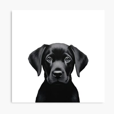 Black Labrador Retriever Puppy Artwork Poster
