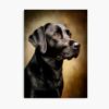 mp840x830mattef8f8f8t pad1000x1000f8f8f8 8 - Labrador Shop UK