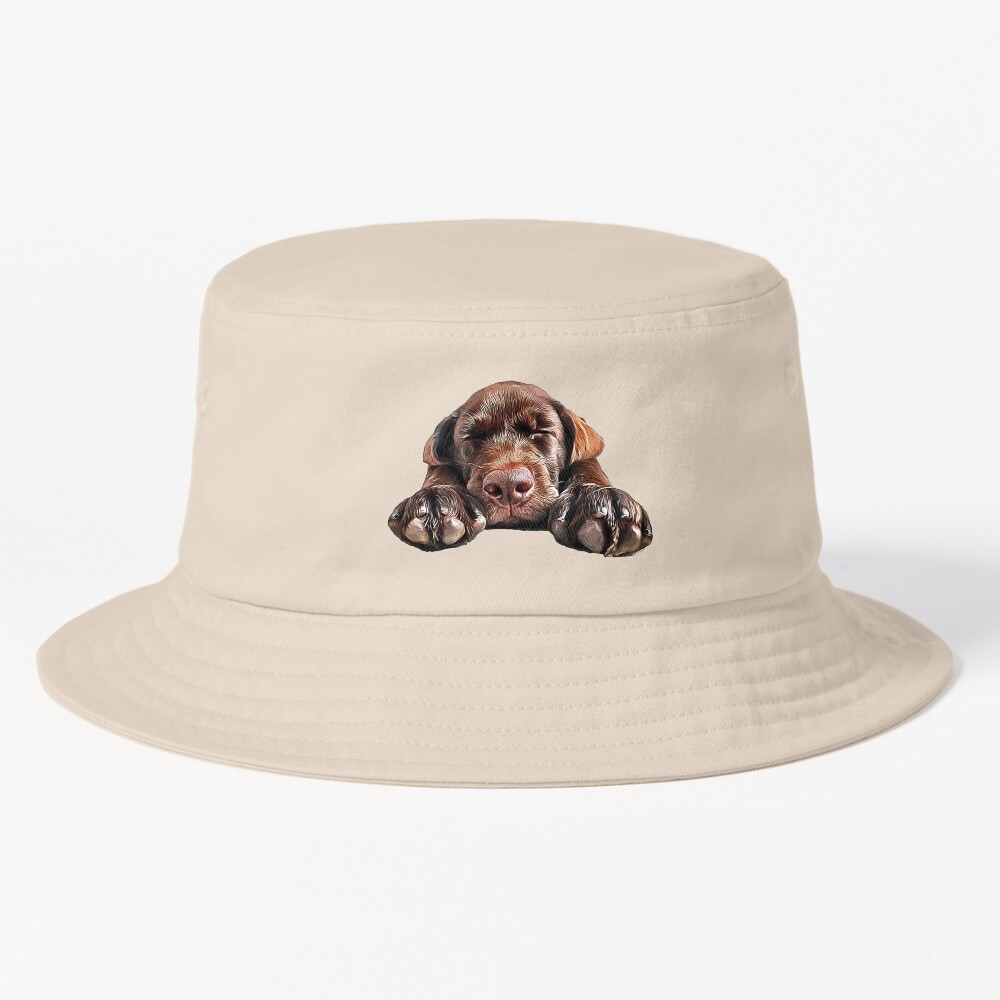 ssrcobucket_hatproducte5d6c5f62bbf65eesrpsquare1000x1000-bgf8f8f8.u2-1 ssrcobucket hatproducte5d6c5f62bbf65eesrpsquare1000x1000 bgf8f8f8.u2 1 - Labrador Shop UK