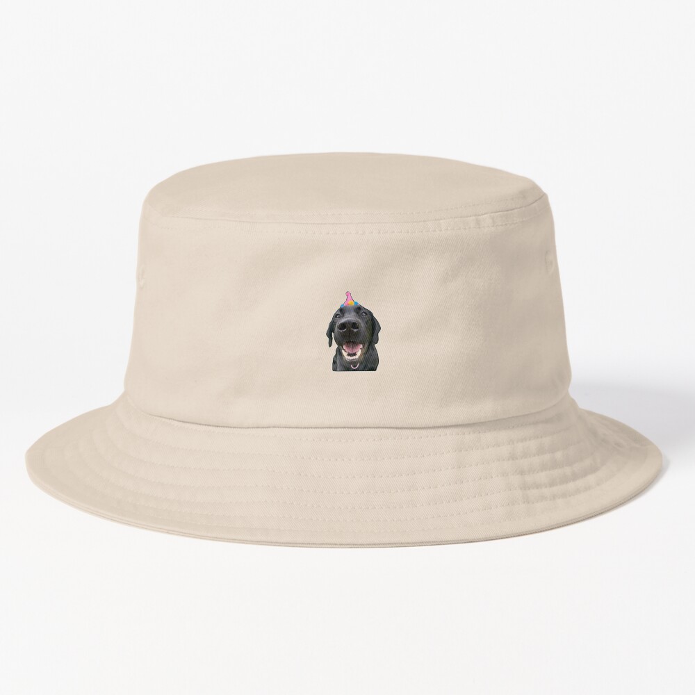 ssrcobucket_hatproducte5d6c5f62bbf65eesrpsquare1000x1000-bgf8f8f8.u2-2 ssrcobucket hatproducte5d6c5f62bbf65eesrpsquare1000x1000 bgf8f8f8.u2 2 - Labrador Shop UK