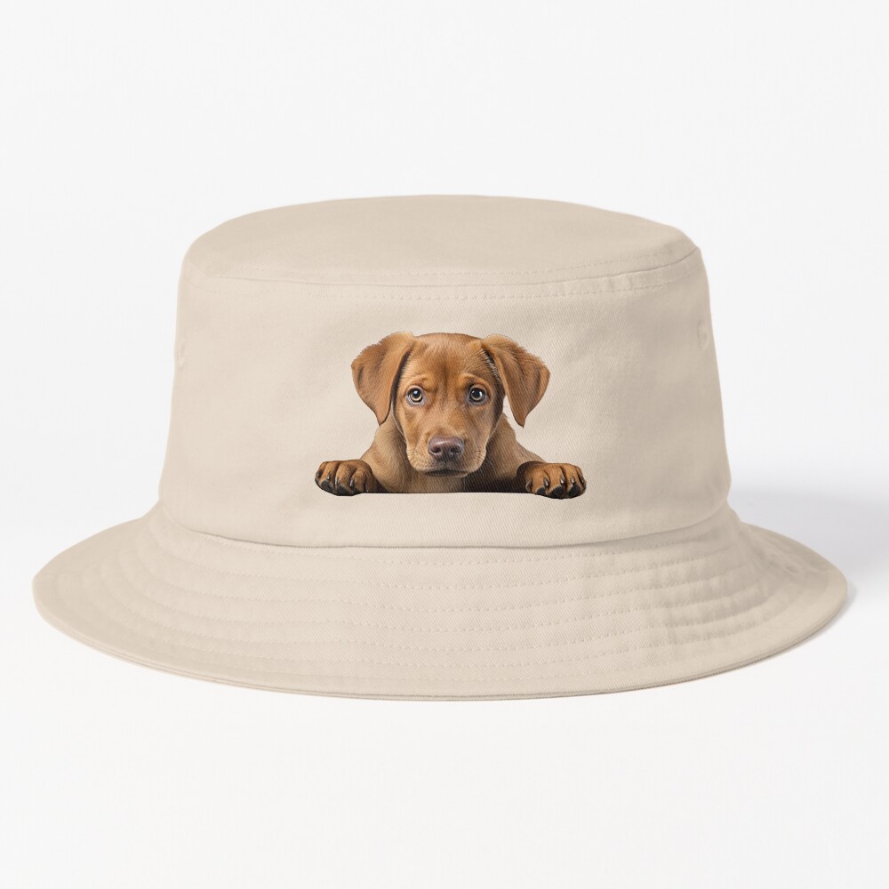 ssrcobucket_hatproducte5d6c5f62bbf65eesrpsquare1000x1000-bgf8f8f8.u2-4 ssrcobucket hatproducte5d6c5f62bbf65eesrpsquare1000x1000 bgf8f8f8.u2 4 - Labrador Shop UK