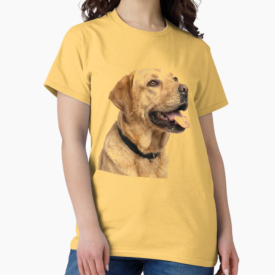 ssrcoclassic_teewomens_02ffcf6eda6eb664a1frontproduct_squarex1000-9 ssrcoclassic teewomens 02ffcf6eda6eb664a1frontproduct squarex1000 9 - Labrador Shop UK