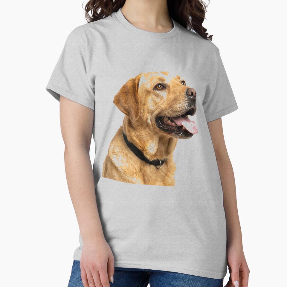 ssrcoclassic_teewomens_02heather_greyfrontproduct_squarex1000-9 ssrcoclassic teewomens 02heather greyfrontproduct squarex1000 9 - Labrador Shop UK