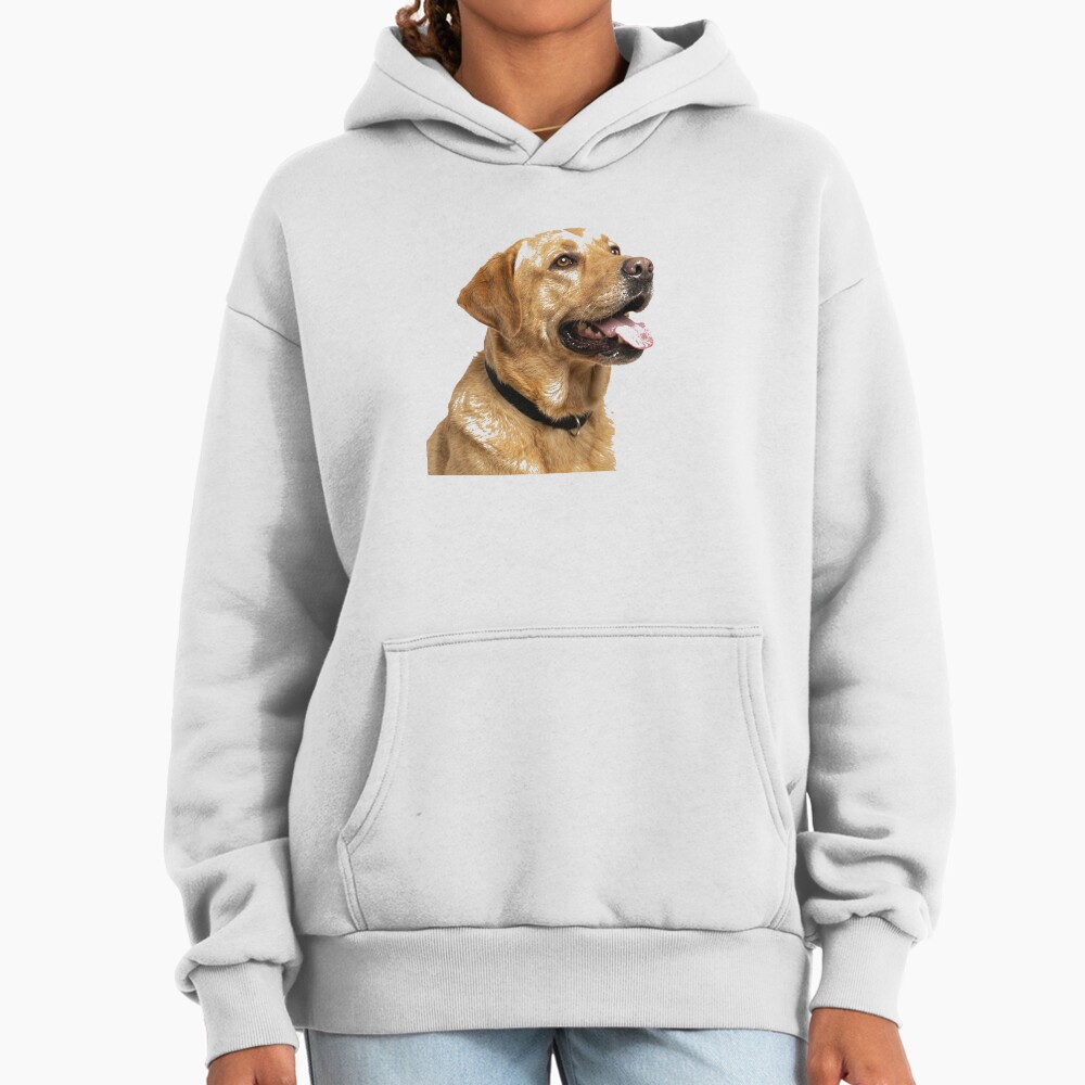ssrcooversized_hoodiewomens_01fafafaca443f4786frontsquare_productx1000-3 ssrcooversized hoodiewomens 01fafafaca443f4786frontsquare productx1000 3 - Labrador Shop UK