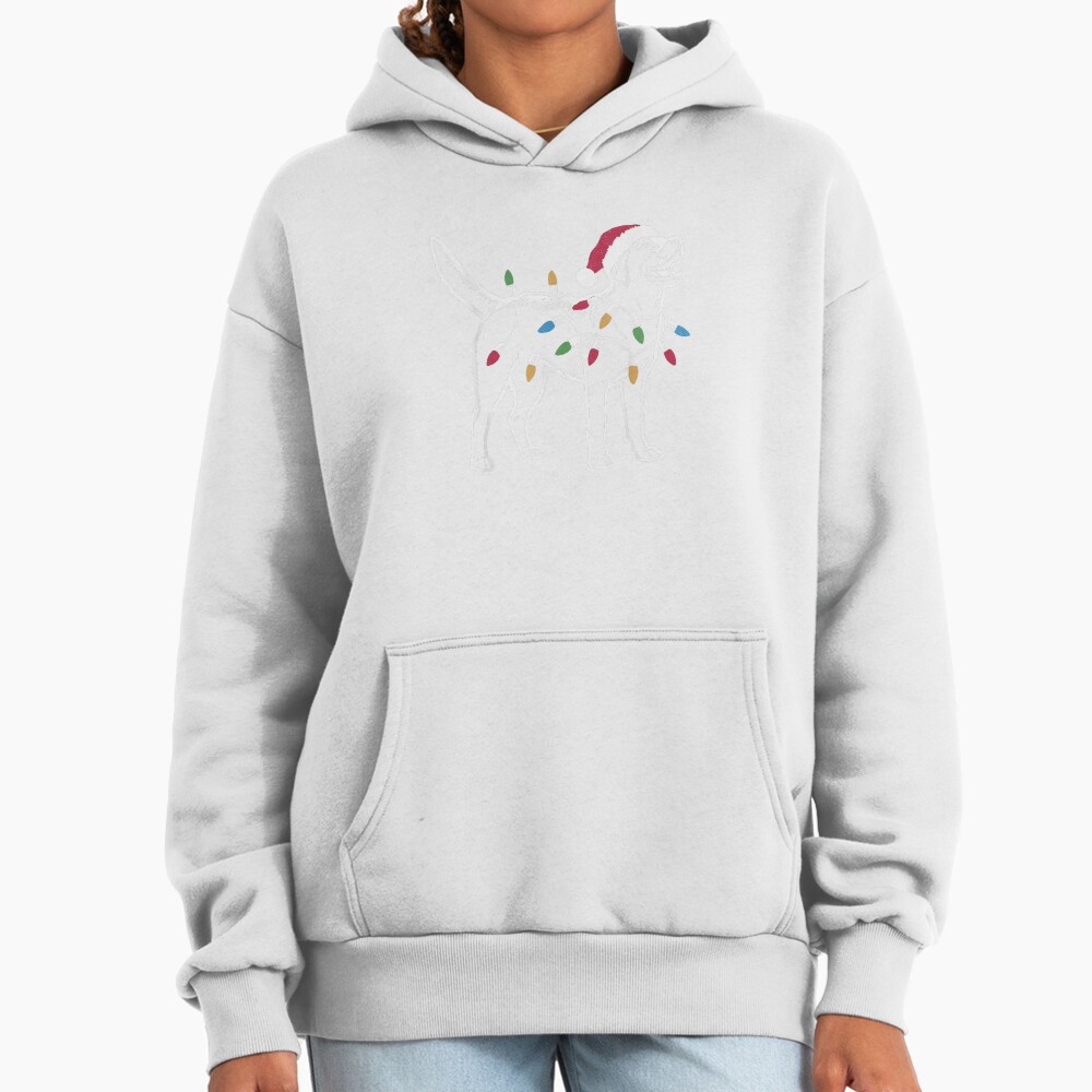 ssrcooversized_hoodiewomens_01fafafaca443f4786frontsquare_productx1000 - Labrador Shop UK