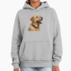 ssrcooversized hoodiewomens 01heather greyfrontsquare productx1000 3 - Labrador Shop UK