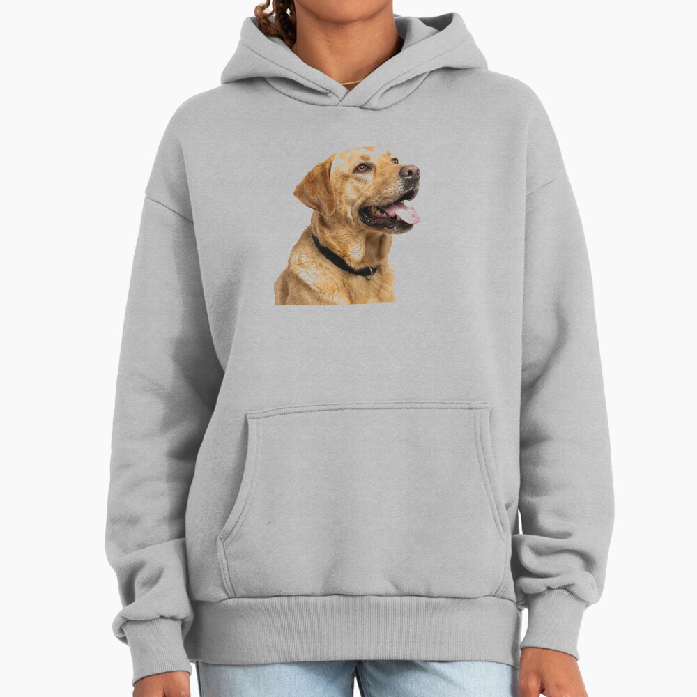 ssrcooversized_hoodiewomens_01heather_greyfrontsquare_productx1000-3 ssrcooversized hoodiewomens 01heather greyfrontsquare productx1000 3 - Labrador Shop UK