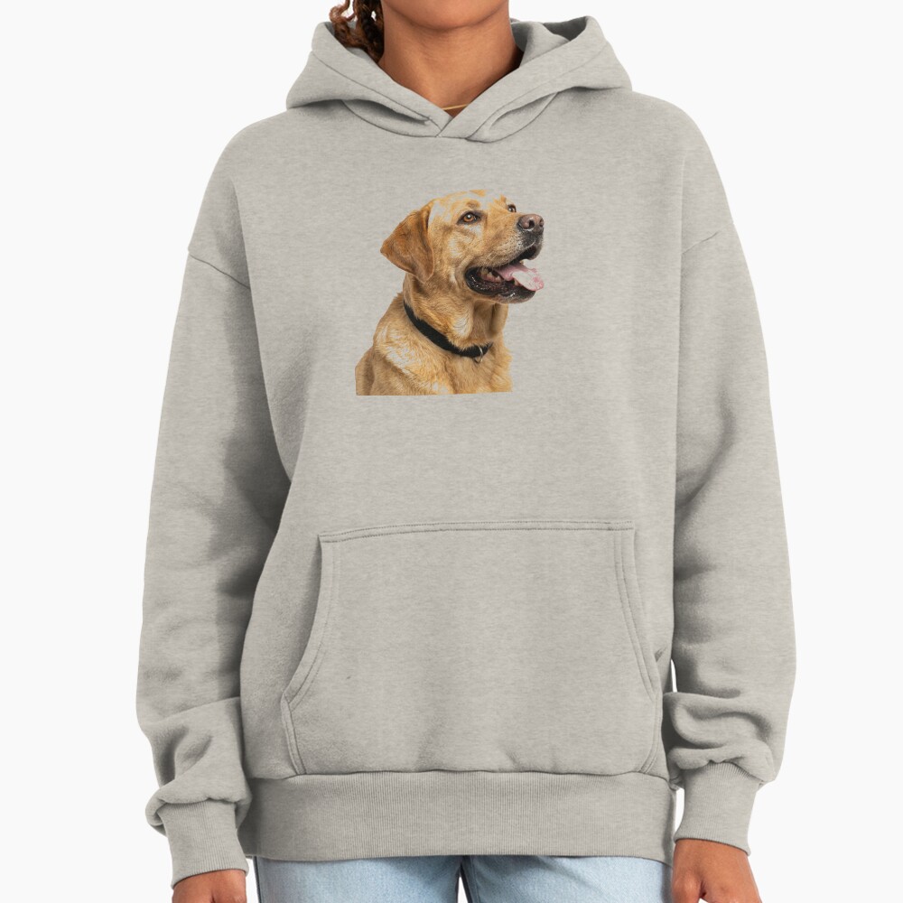 ssrcooversized_hoodiewomens_01oatmeal_heatherfrontsquare_productx1000-3 ssrcooversized hoodiewomens 01oatmeal heatherfrontsquare productx1000 3 - Labrador Shop UK