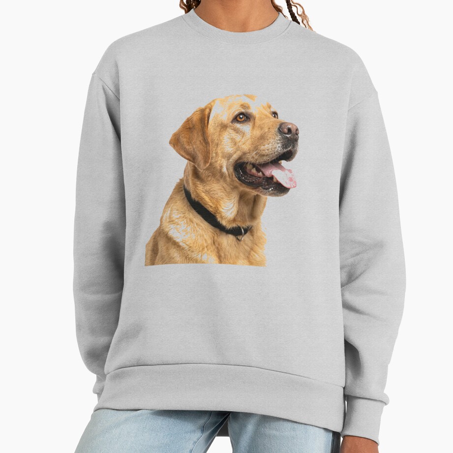 ssrcooversized_sweatshirtwomens_01heather_greyfrontsquare_productx1000-4 ssrcooversized sweatshirtwomens 01heather greyfrontsquare productx1000 4 - Labrador Shop UK