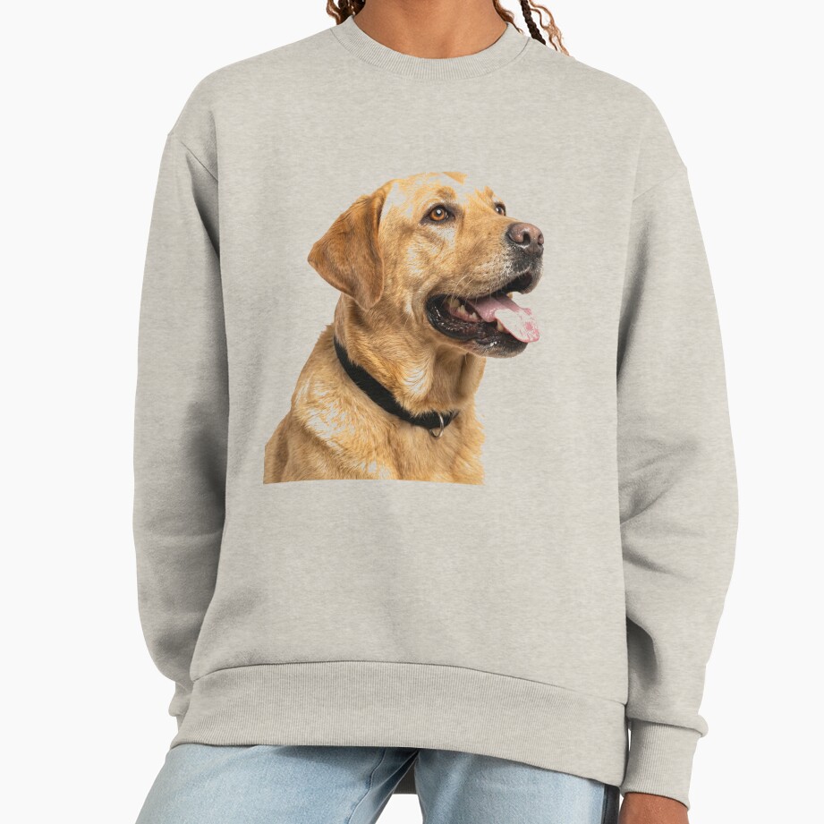 ssrcooversized_sweatshirtwomens_01oatmeal_heatherfrontsquare_productx1000-4 ssrcooversized sweatshirtwomens 01oatmeal heatherfrontsquare productx1000 4 - Labrador Shop UK