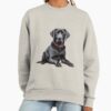 ssrcooversized sweatshirtwomens 01oatmeal heatherfrontsquare productx1000 8 - Labrador Shop UK