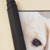 urdesk mat rolltall portrait750x1000 3 - Labrador Shop UK