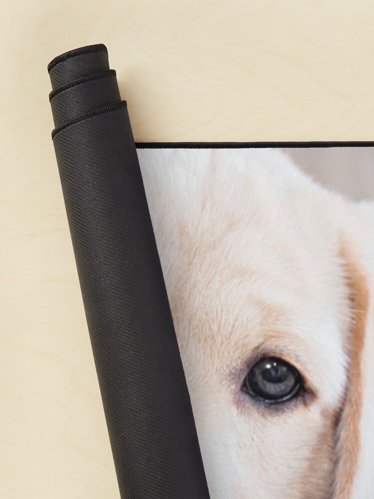 urdesk_mat_rolltall_portrait750x1000-3 urdesk mat rolltall portrait750x1000 3 - Labrador Shop UK