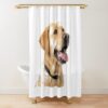 urshower curtain closedsquare1000x1000.1 9 - Labrador Shop UK