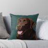 urthrow pillow couch smallsquare1000x1000 1 - Labrador Shop UK