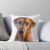urthrow pillow couch smallsquare1000x1000 3 - Labrador Shop UK