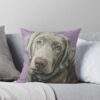 urthrow pillow couch smallsquare1000x1000 7 - Labrador Shop UK